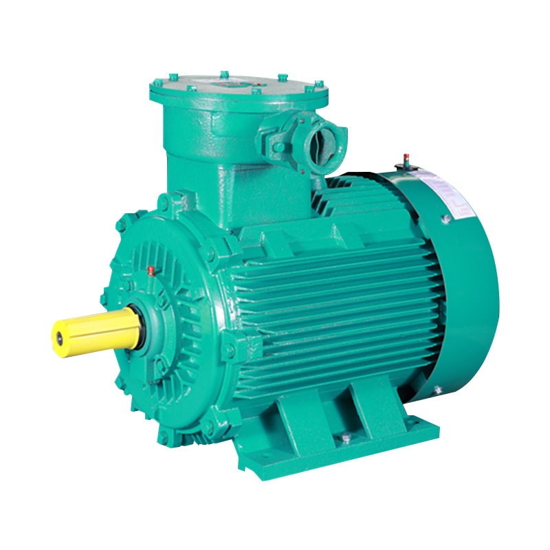 YBX4 Series humilis voltage CREPITUS-probationem motor (H: 80-355mm)